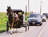 Take an Amish buggy ride